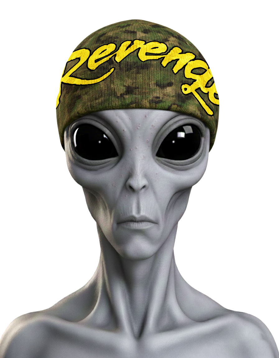 revenge®CAMO BEANIE